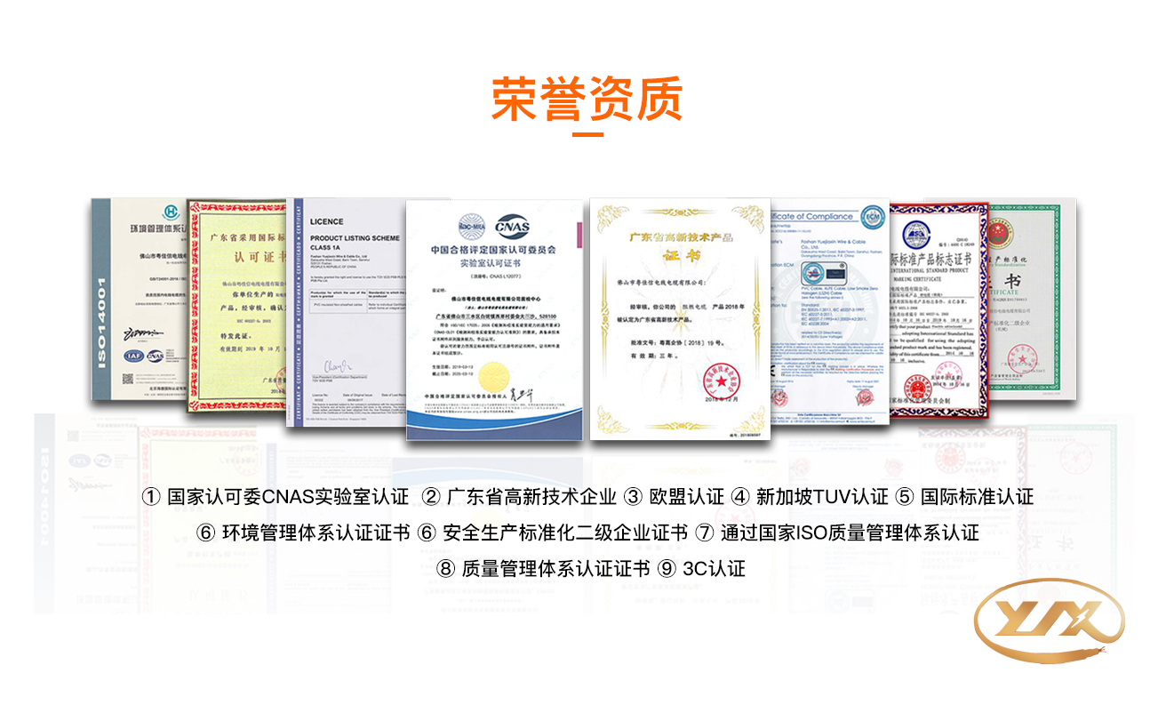 技術證書.png
